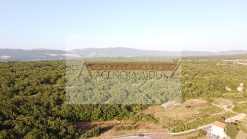 Thumbnail 5950464 - 8