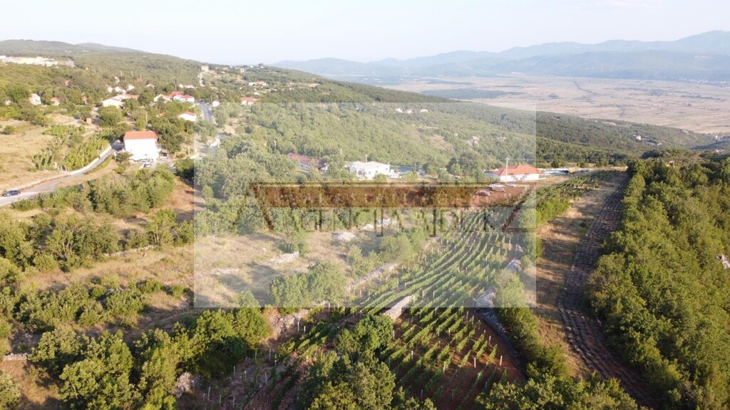 Image 5950464 - 3
