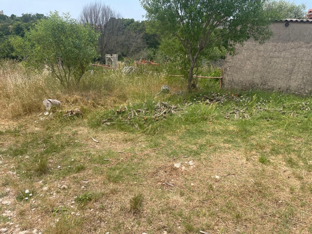 Image 5951444 - 3
