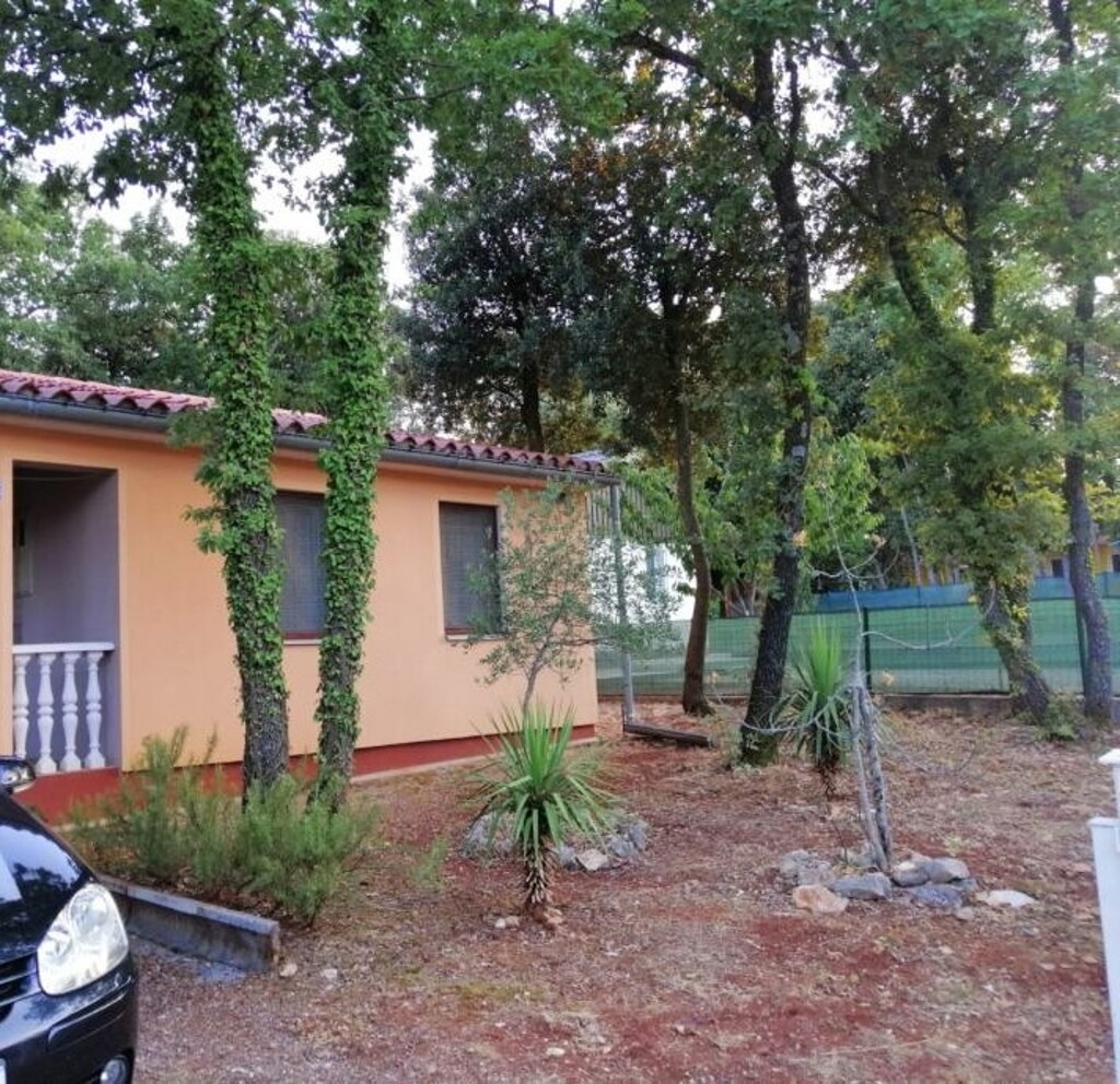 Image 5951447 - 3