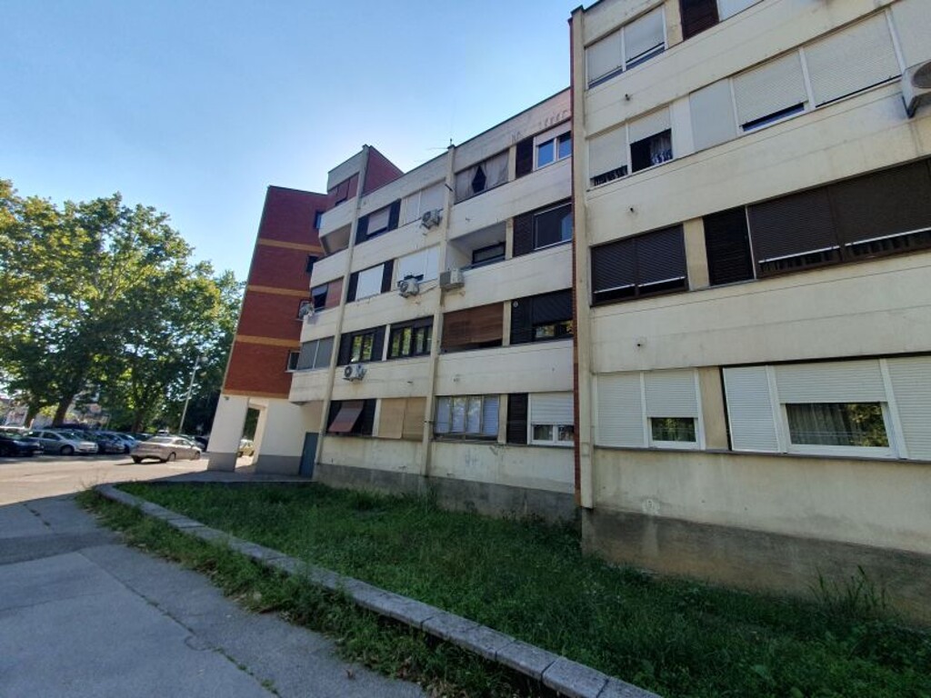 Image 5951835 - 1