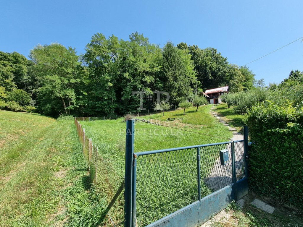 Image 5951837 - 6