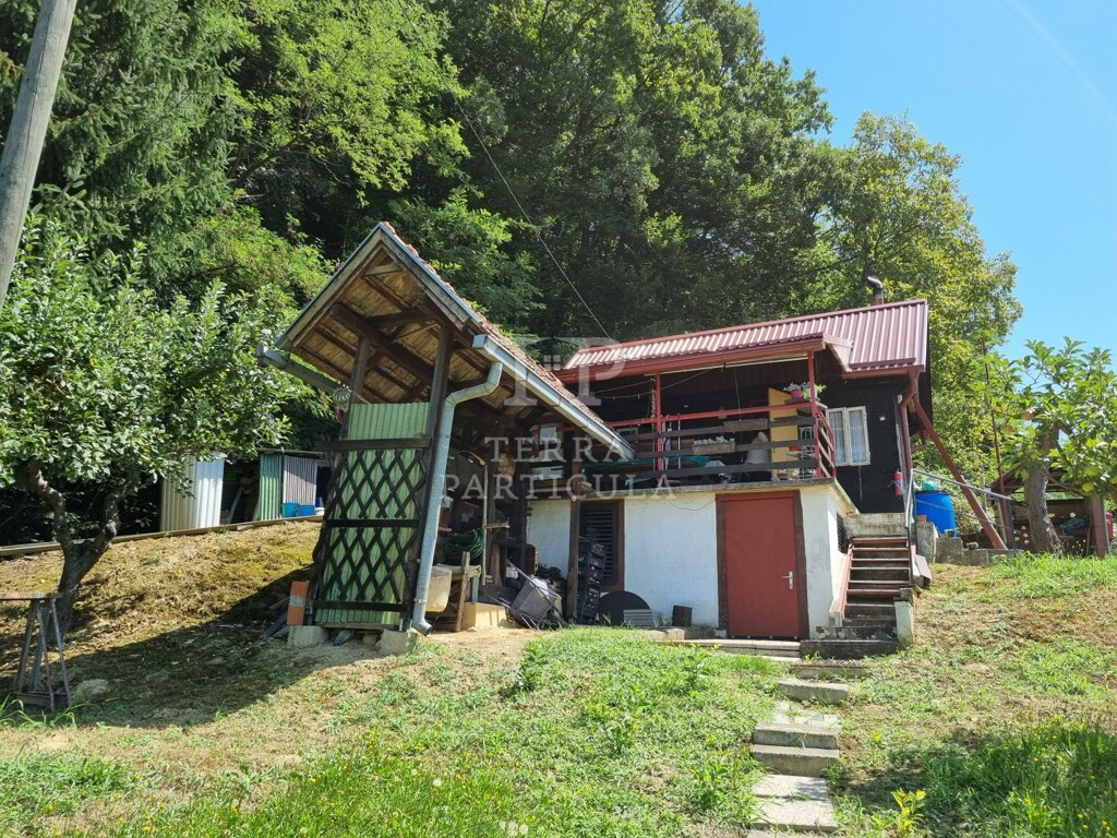 Image 5951837 - 1