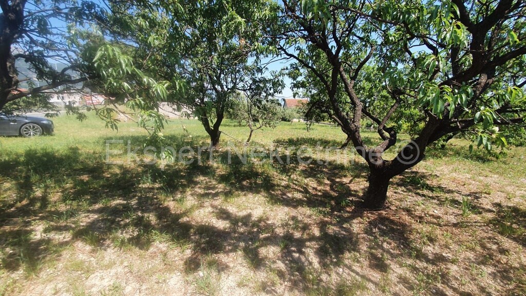 Image 5951928 - 3