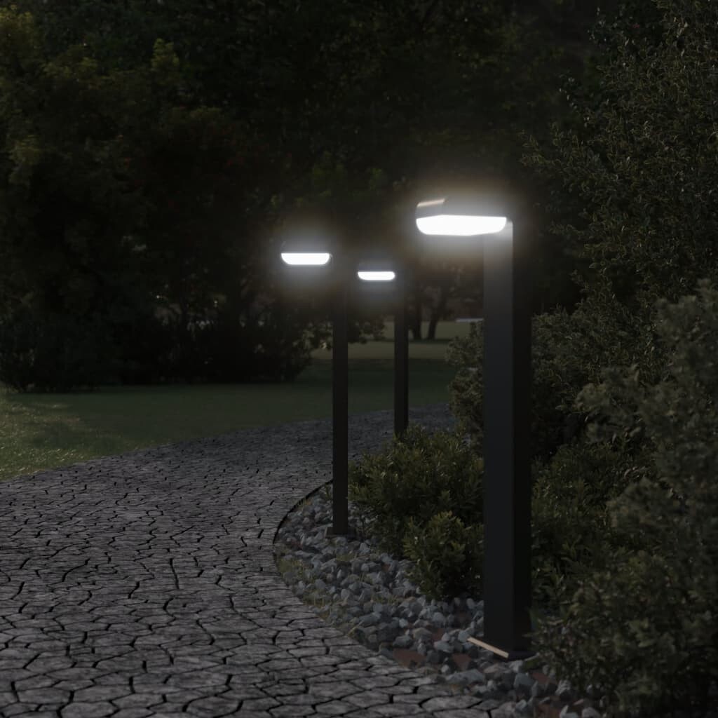 Image 5953702 - 2
