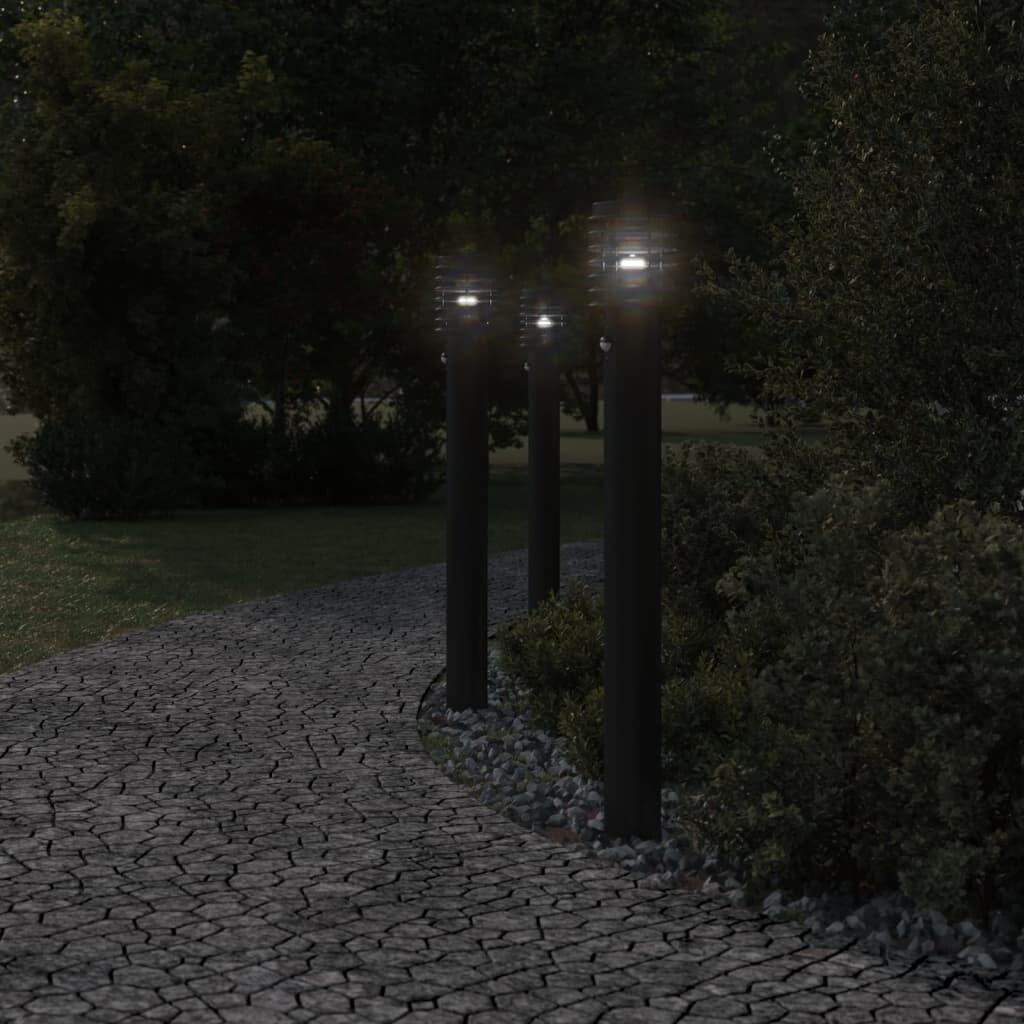 Image 5953851 - 2