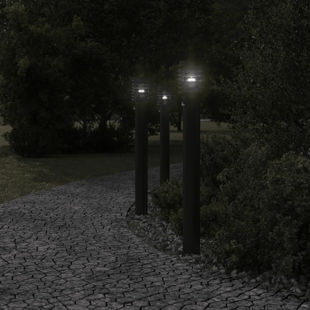 Image 5953888 - 2
