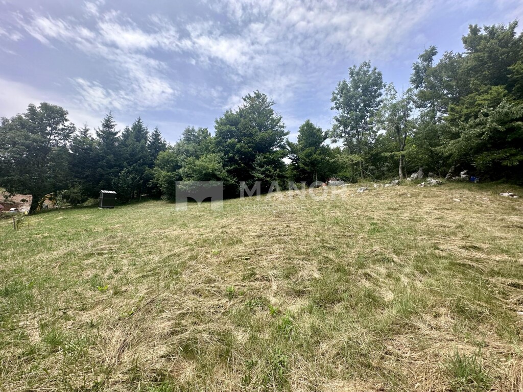 Image 5960201 - 1