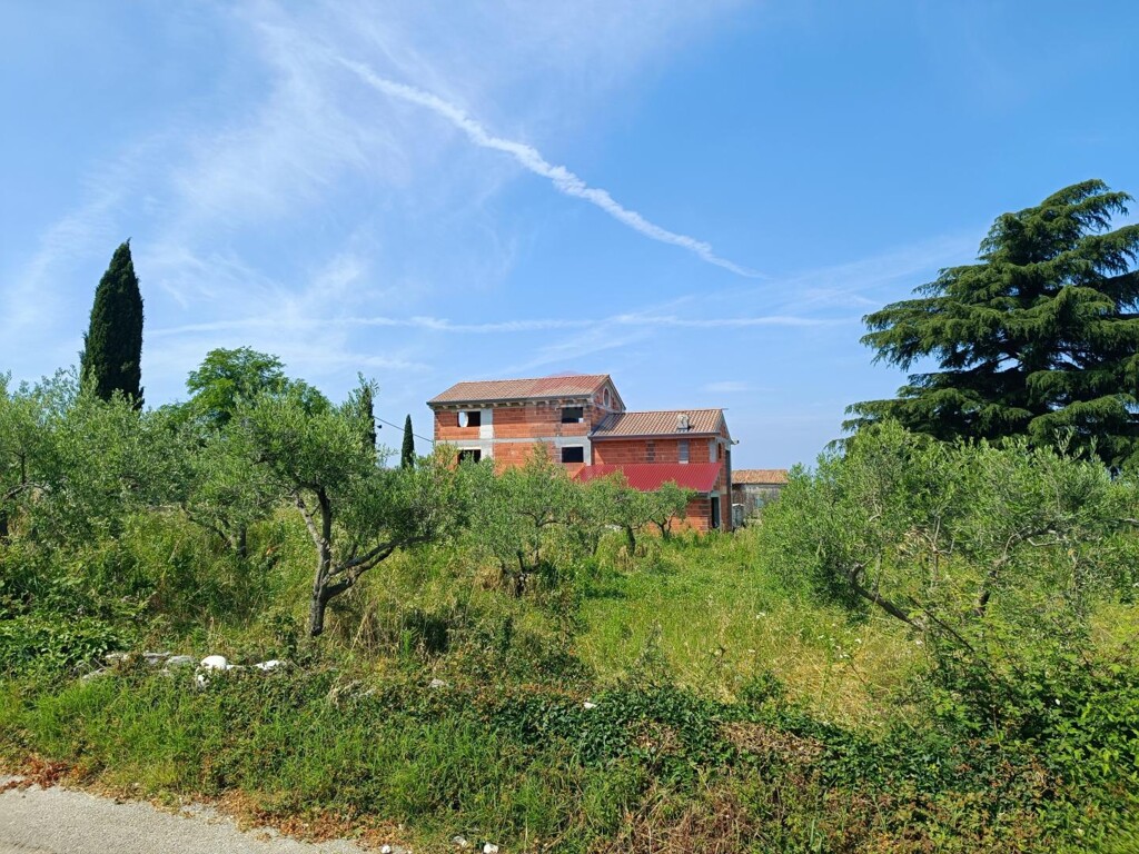 Image 5960429 - 23