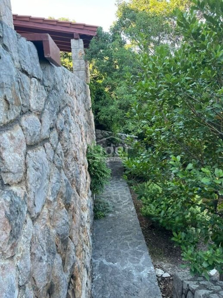 Image 6023386 - 14
