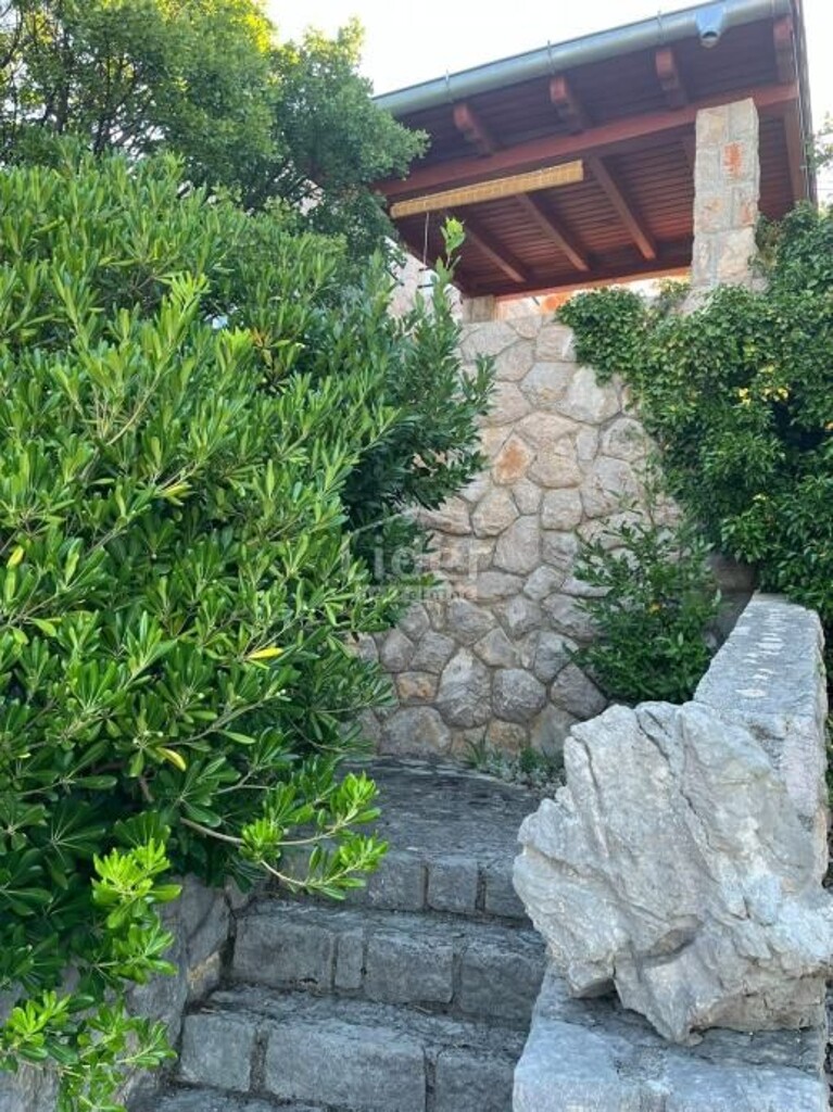 Image 6023386 - 9