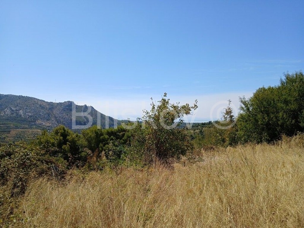 Image 6024598 - 22