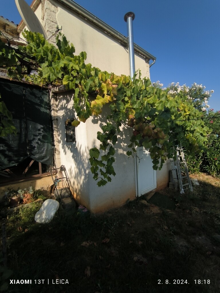 Image 6025455 - 4