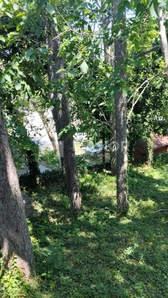 Image 6047656 - 3