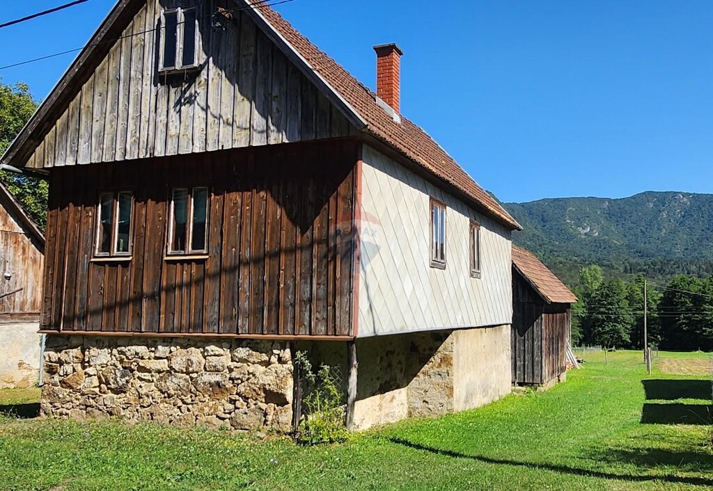 Image 6047661 - 1