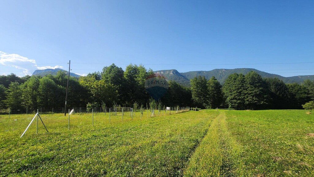 Image 6047661 - 7