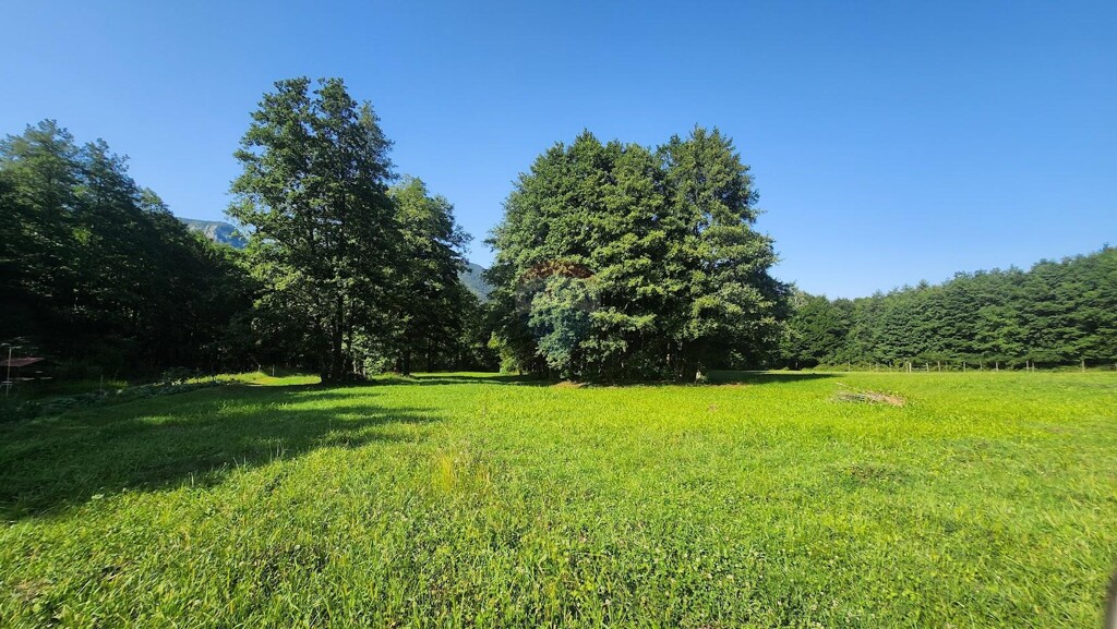 Image 6047661 - 6