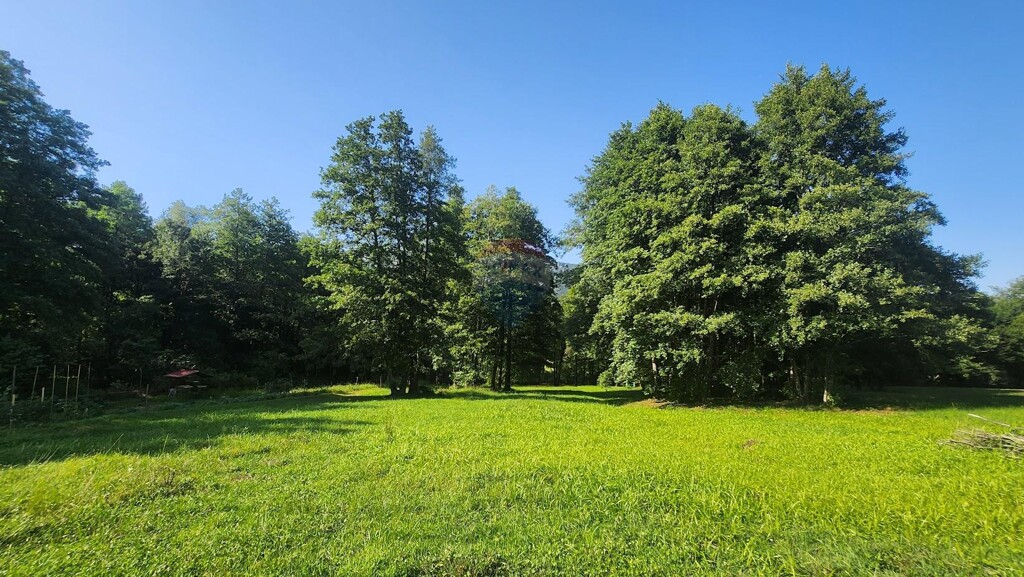 Image 6047661 - 5
