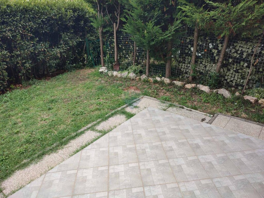Image 6054814 - 5
