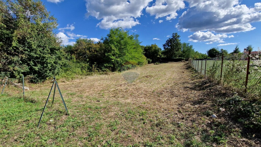 Image 6054816 - 1