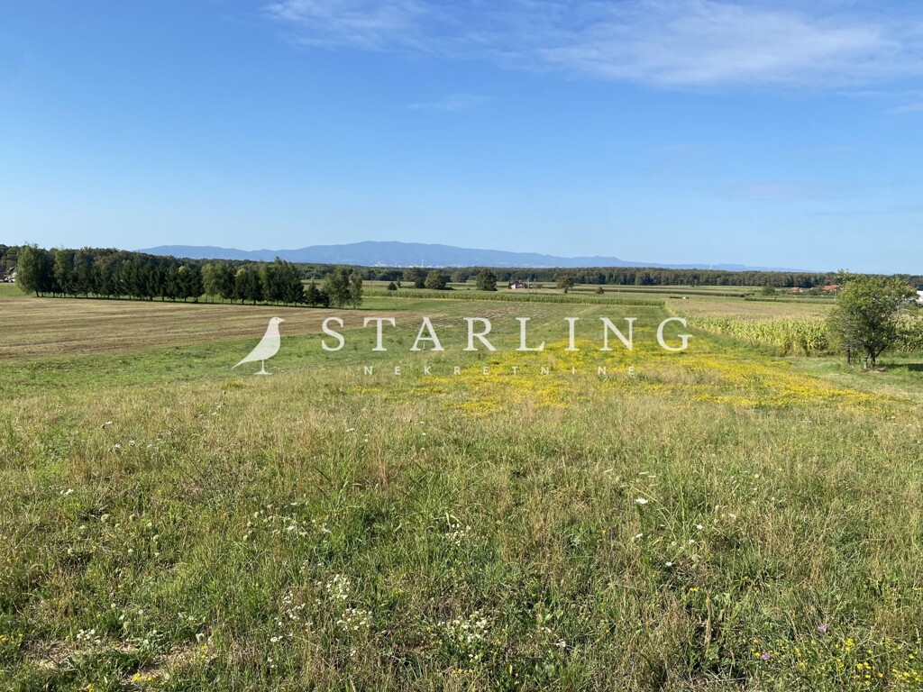 Image 6056952 - 2