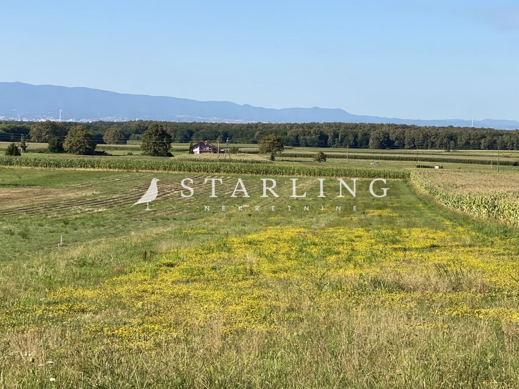 Image 6056952 - 4