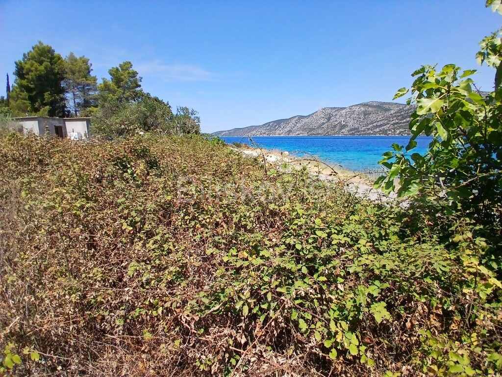 Image 6056986 - 7