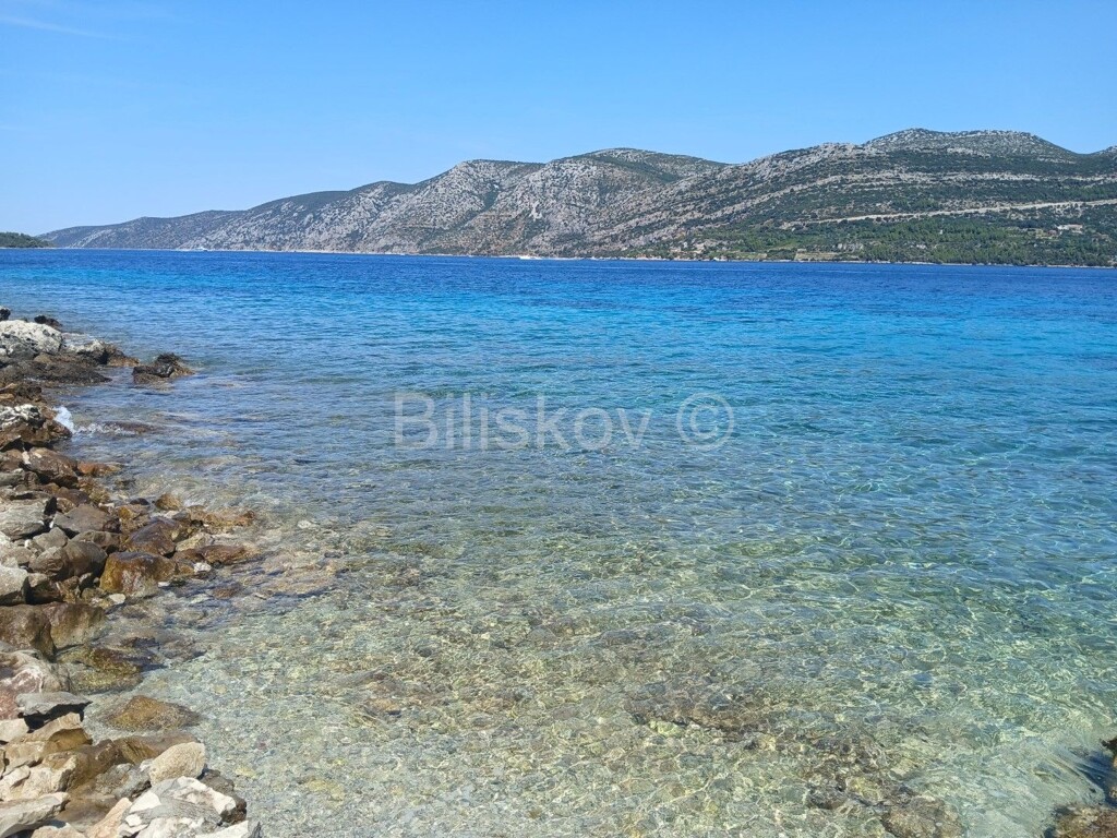 Image 6056986 - 1