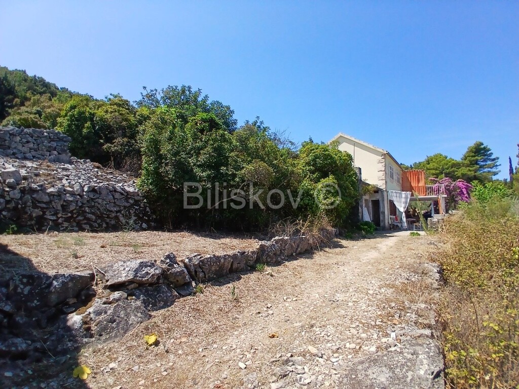 Image 6056986 - 6