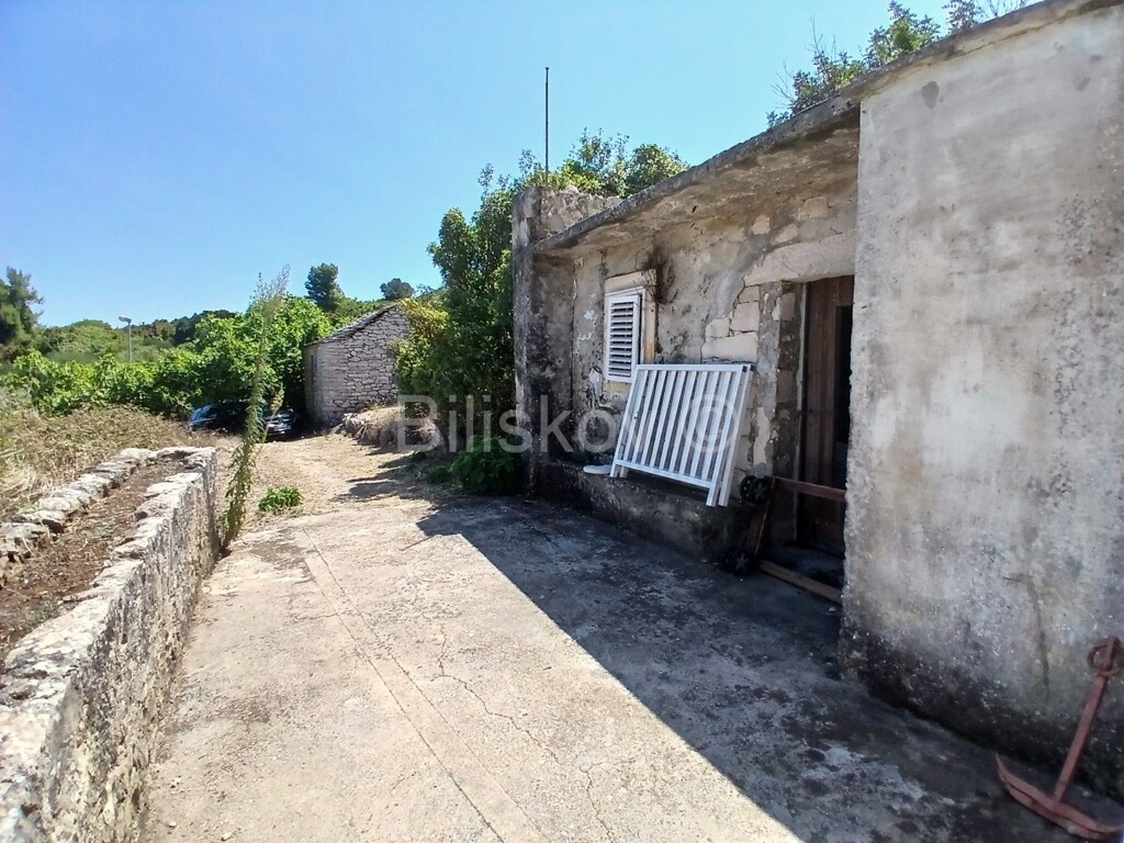 Image 6056986 - 5