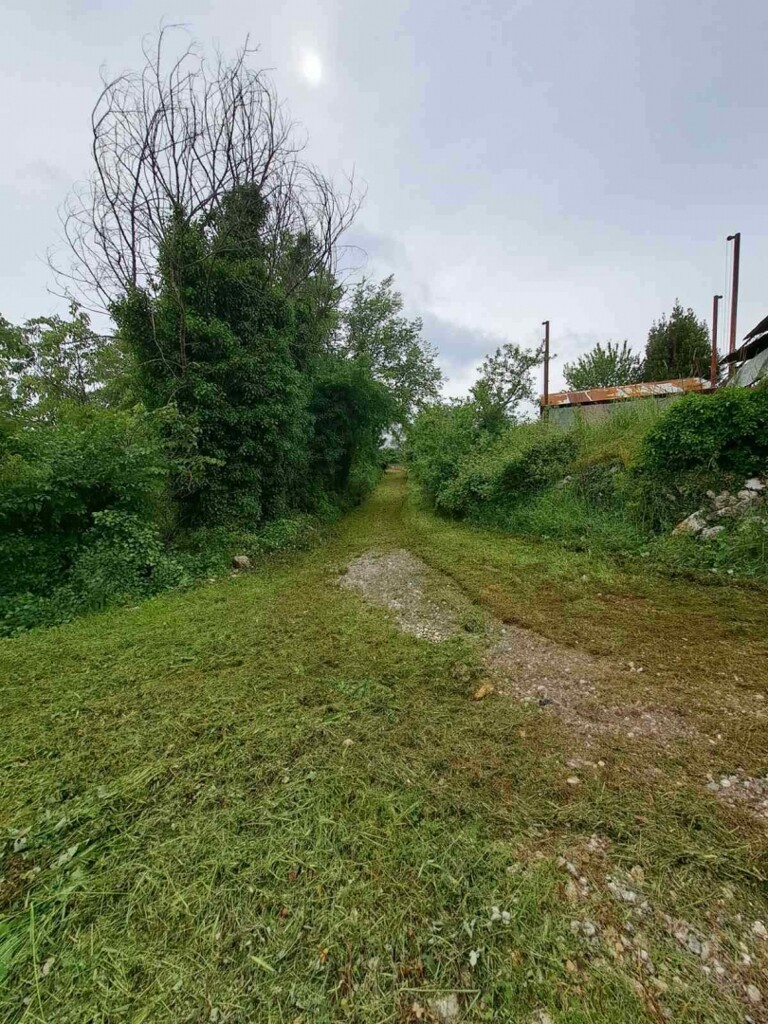 Image 6057487 - 2