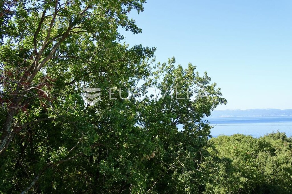 Image 6057950 - 22