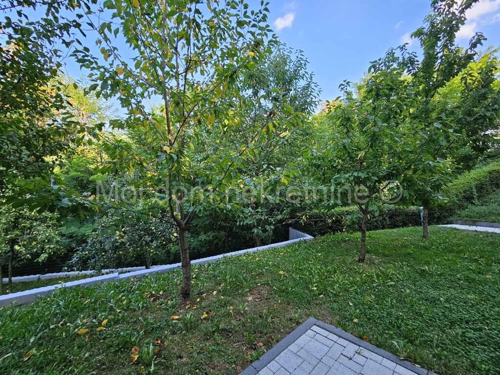 Image 6057997 - 15