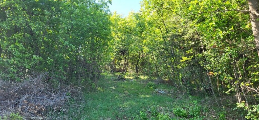 Image 6058432 - 2
