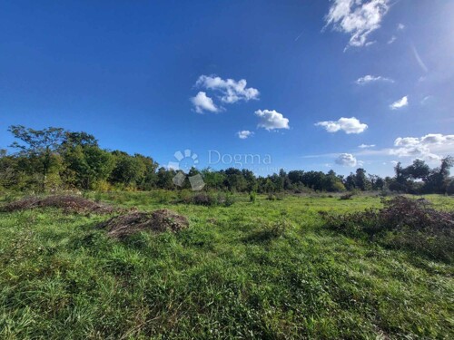 Thumbnail 6061959 - 3