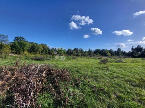 Thumbnail 6061959 - 1