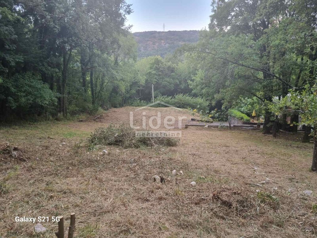 Image 6062675 - 4