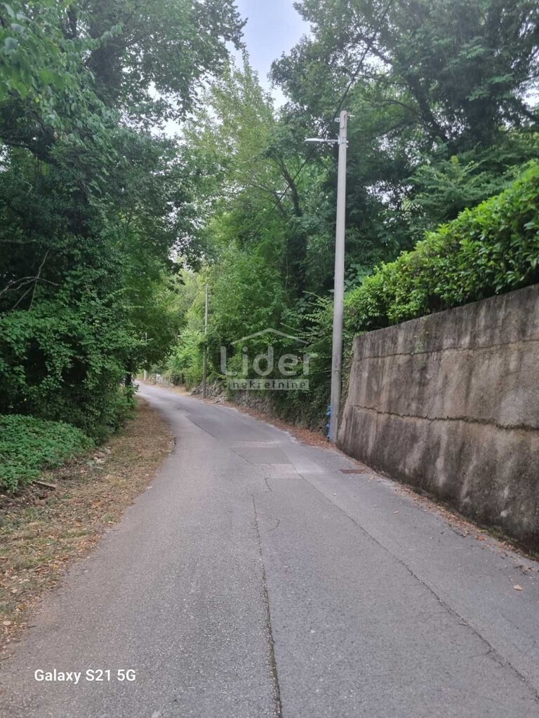 Image 6062675 - 6