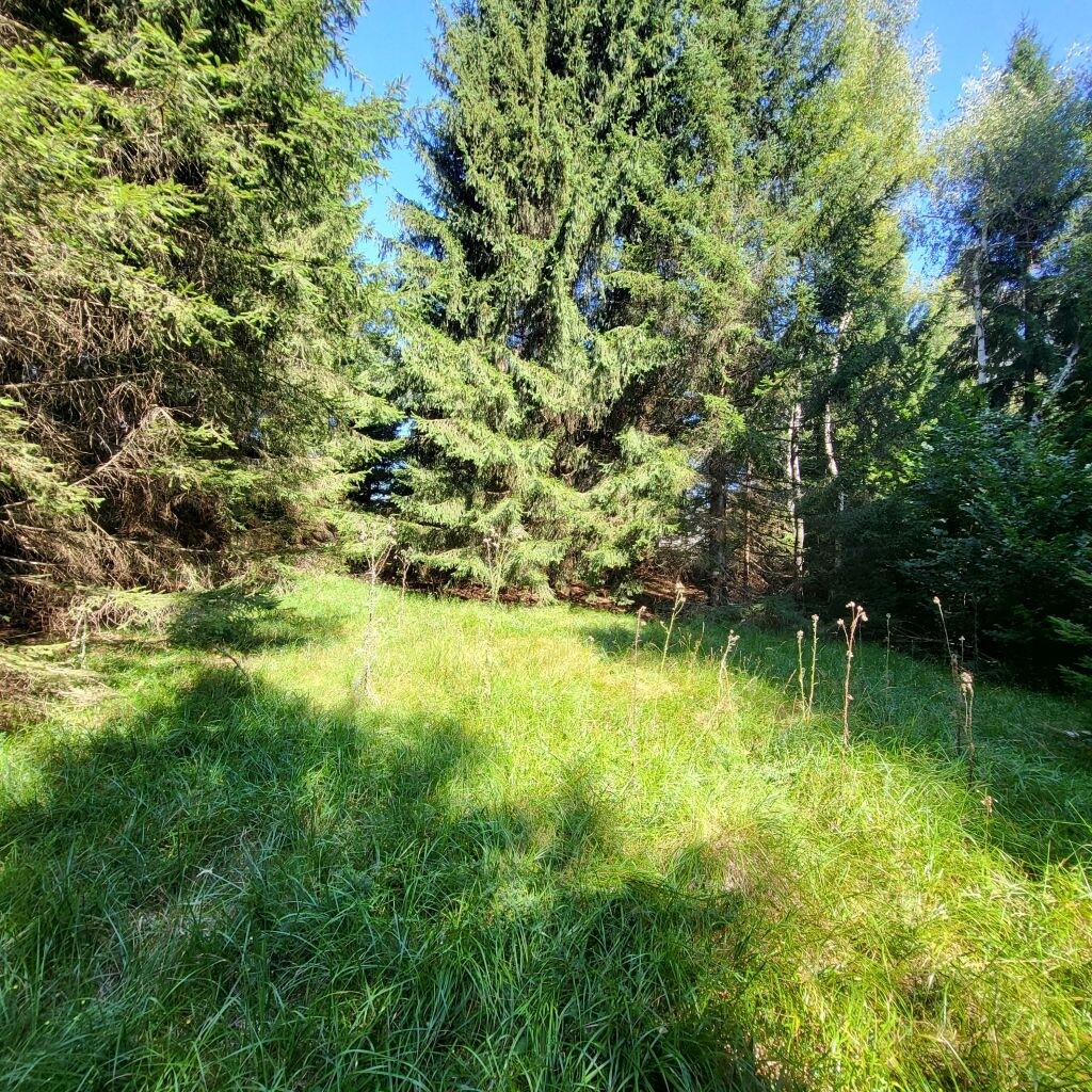 Image 6062693 - 1