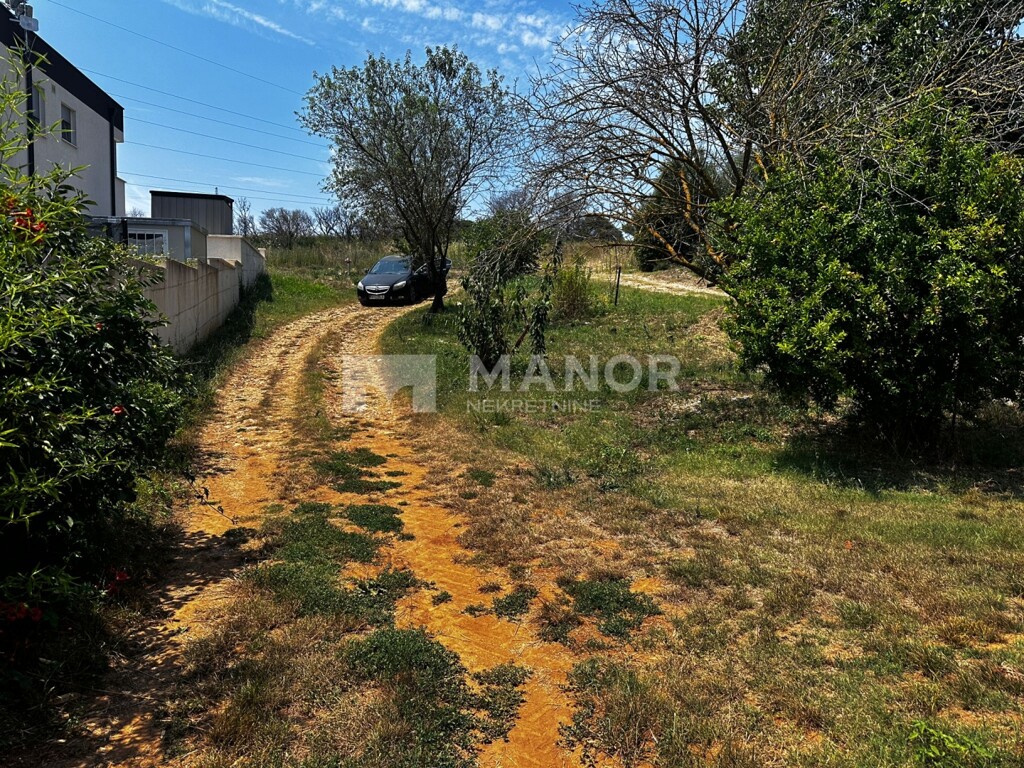 Image 6062819 - 1