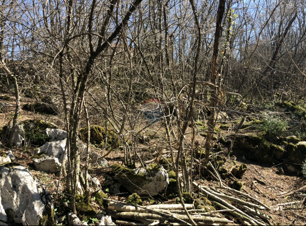 Image 6062829 - 1