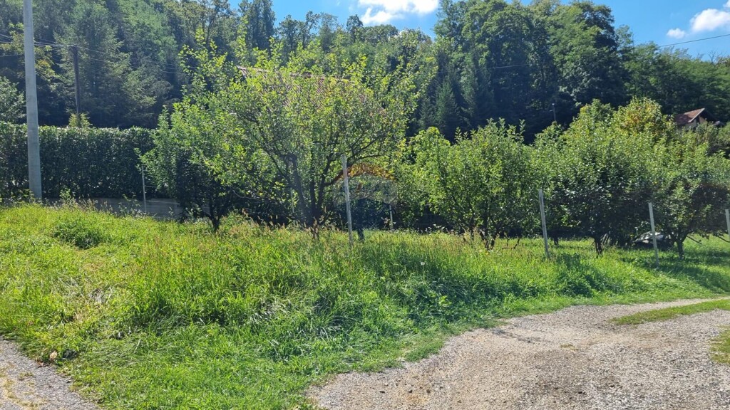 Image 6062847 - 1