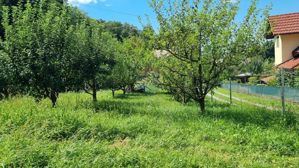 Image 6062847 - 3