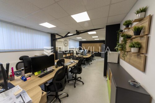 Thumbnail 6063414 - 5