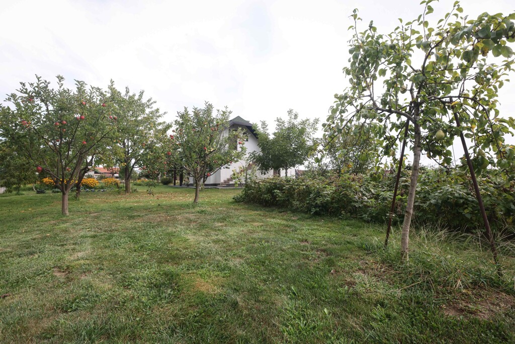 Image 6063459 - 17
