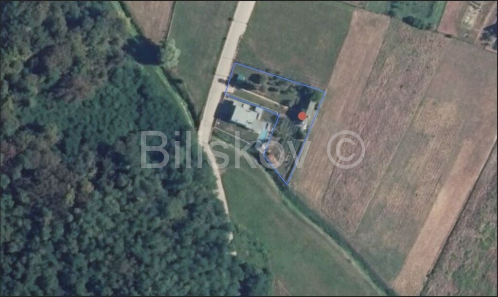 Image 6063459 - 21