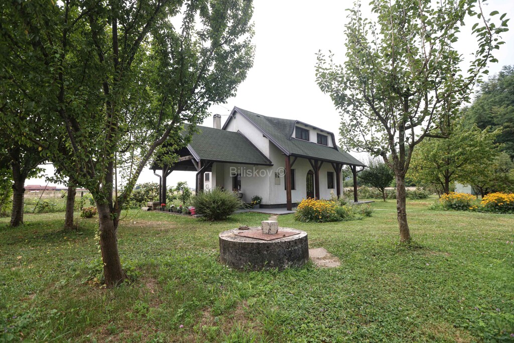 Image 6063459 - 1