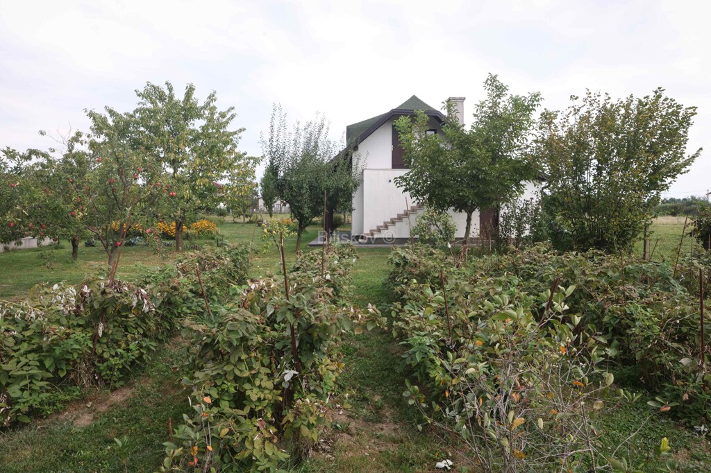 Image 6063459 - 16