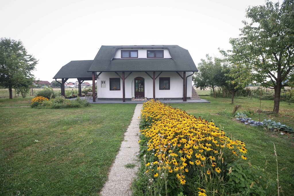 Image 6063459 - 2