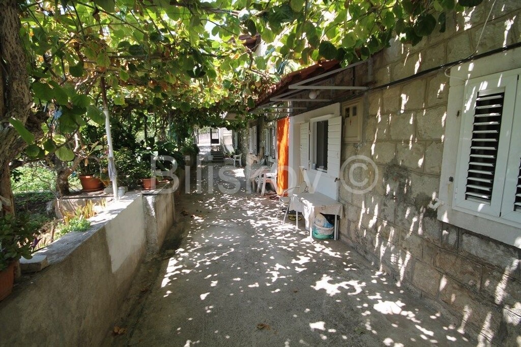 Image 6063462 - 1